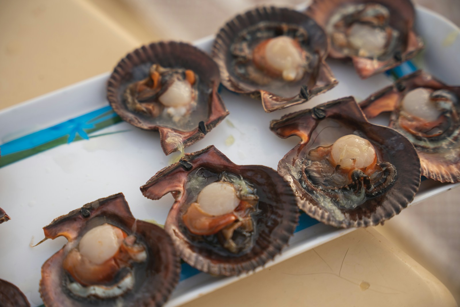 You are currently viewing Coquilles Saint Jacques poêlées et flambées au Cognac